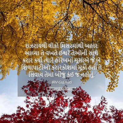 Picture 05 - 1 રાજાઓ 8:9 GUJIRV - ઇઝરાયલી લોકો - Bible Verse Picture