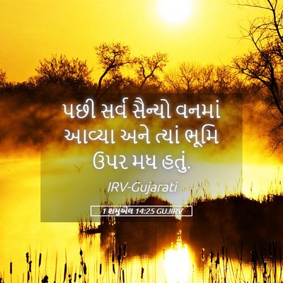 Picture 05 - 1 શમુએલ 14:25 GUJIRV - પછી સર્વ સૈન્યો - Bible Verse Picture