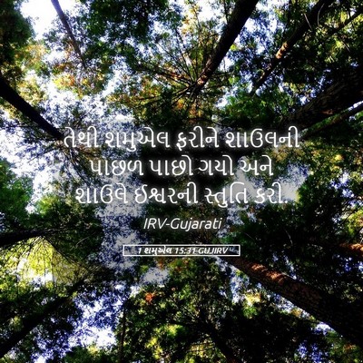 Picture 05 - 1 શમુએલ 15:31 GUJIRV - તેથી શમુએલ ફરીને - Bible Verse Picture