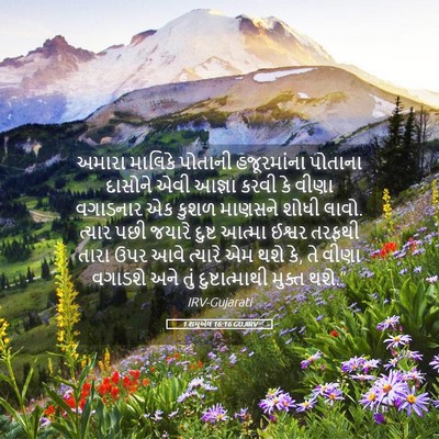 Picture 05 - 1 શમુએલ 16:16 GUJIRV - અમારા માલિકે - Bible Verse Picture