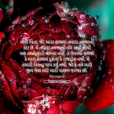 Picture 05 - 1 શમુએલ 24:11 GUJIRV - મારા પિતા, જો, મારા - Bible Verse Picture