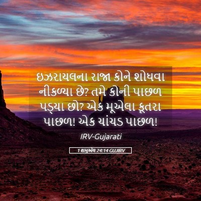 Picture 05 - 1 શમુએલ 24:14 GUJIRV - ઇઝરાયલના રાજા - Bible Verse Picture