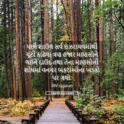 Picture 05 - 1 શમુએલ 24:2 GUJIRV - પછી શાઉલ સર્વ - Bible Verse Picture