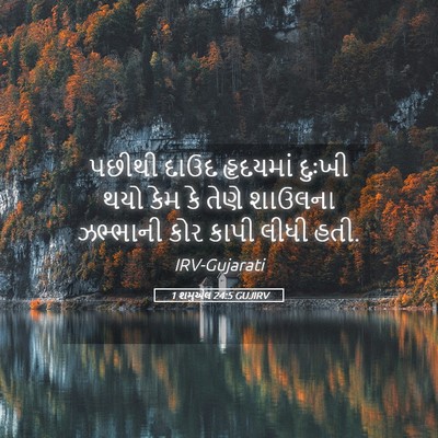 Picture 05 - 1 શમુએલ 24:5 GUJIRV - પછીથી દાઉદ - Bible Verse Picture