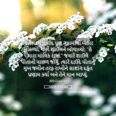 Picture 05 - 1 શમુએલ 24:8 GUJIRV - ત્યાર પછી, દાઉદ પણ - Bible Verse Picture