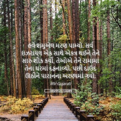Picture 05 - 1 શમુએલ 25:1 GUJIRV - હવે શમુએલ મરણ - Bible Verse Picture