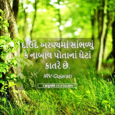 Picture 05 - 1 શમુએલ 25:4 GUJIRV - દાઉદે અરણ્યમાં - Bible Verse Picture
