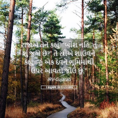 Picture 05 - 1 શમુએલ 28:13 GUJIRV - રાજાએ તેને કહ્યું, - Bible Verse Picture