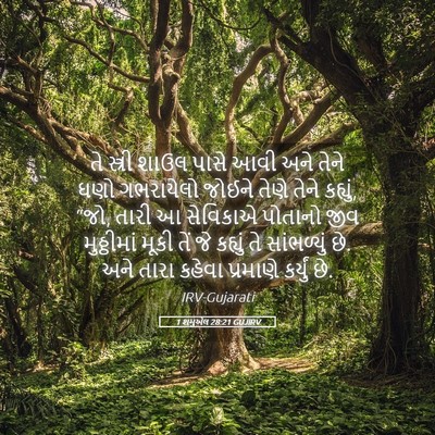 Picture 05 - 1 શમુએલ 28:21 GUJIRV - તે સ્ત્રી શાઉલ - Bible Verse Picture