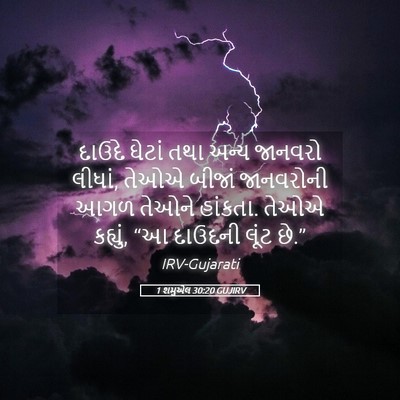 Picture 05 - 1 શમુએલ 30:20 GUJIRV - દાઉદે ઘેટાં તથા - Bible Verse Picture