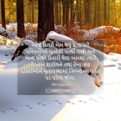 Picture 05 - 1 શમુએલ 31:8 GUJIRV - બીજે દિવસે એમ થયું - Bible Verse Picture