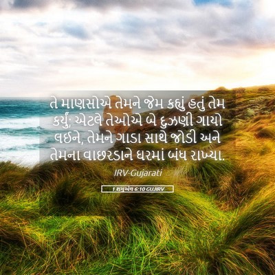 Picture 05 - 1 શમુએલ 6:10 GUJIRV - તે માણસોએ તેમને - Bible Verse Picture