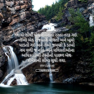 Picture 05 - 1 શમુએલ 6:12 GUJIRV - ગાયો સીધી - Bible Verse Picture