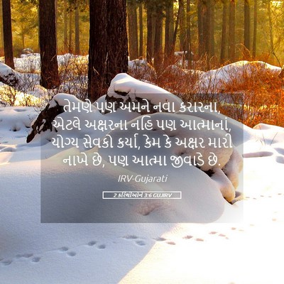 Picture 05 - 2 કરિંથીઓને 3:6 GUJIRV - તેમણે પણ અમને નવા - Bible Verse Picture