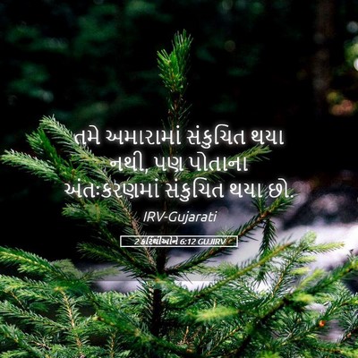 Picture 05 - 2 કરિંથીઓને 6:12 GUJIRV - તમે અમારામાં - Bible Verse Picture