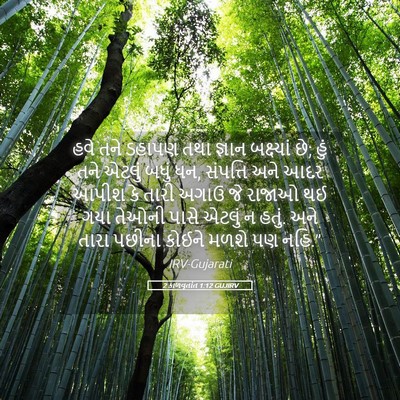 Picture 05 - 2 કાળવૃતાંત 1:12 GUJIRV - હવે તને ડહાપણ તથા - Bible Verse Picture