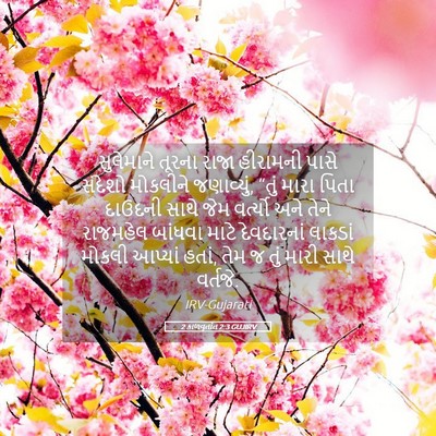 Picture 05 - 2 કાળવૃતાંત 2:3 GUJIRV - સુલેમાને તૂરના - Bible Verse Picture