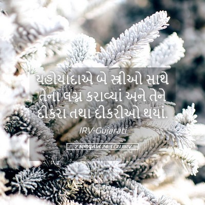 Picture 05 - 2 કાળવૃતાંત 24:3 GUJIRV - યહોયાદાએ બે - Bible Verse Picture