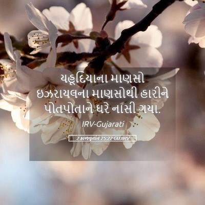 Picture 05 - 2 કાળવૃતાંત 25:22 GUJIRV - યહૂદિયાના માણસો - Bible Verse Picture