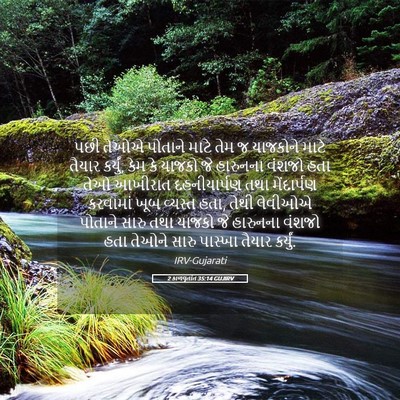 Picture 05 - 2 કાળવૃતાંત 35:14 GUJIRV - પછી તેઓએ પોતાને - Bible Verse Picture