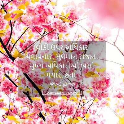 Picture 05 - 2 કાળવૃતાંત 8:10 GUJIRV - લોકો ઉપર અધિકાર - Bible Verse Picture
