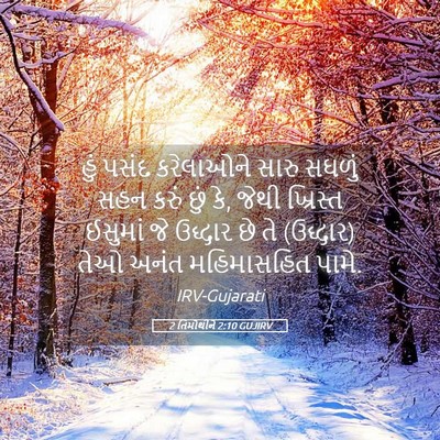 Picture 05 - 2 તિમોથીને 2:10 GUJIRV - હું પસંદ કરેલાઓને - Bible Verse Picture