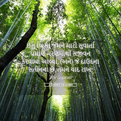 Picture 05 - 2 તિમોથીને 2:8 GUJIRV - ઈસુ ખ્રિસ્ત જેમને - Bible Verse Picture