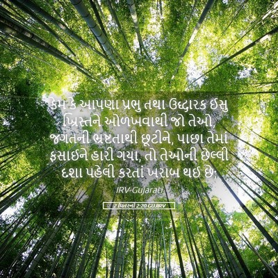Picture 05 - 2 પિતરનો 2:20 GUJIRV - કેમ કે આપણા પ્રભુ - Bible Verse Picture
