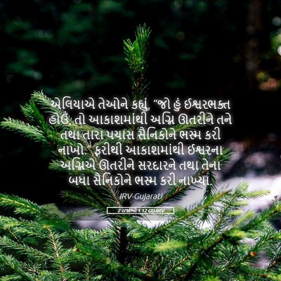 Picture 05 - 2 રાજાઓ 1:12 GUJIRV - એલિયાએ તેઓને - Bible Verse Picture