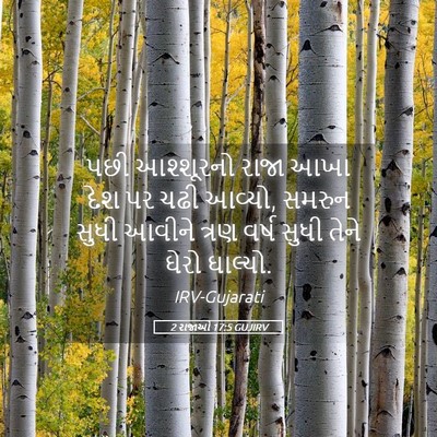 Picture 05 - 2 રાજાઓ 17:5 GUJIRV - પછી આશ્શૂરનો રાજા - Bible Verse Picture