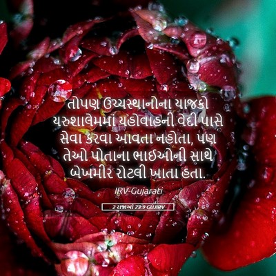 Picture 05 - 2 રાજાઓ 23:9 GUJIRV - તોપણ ઉચ્ચસ્થાનોના - Bible Verse Picture