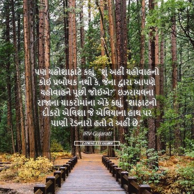 Picture 05 - 2 રાજાઓ 3:11 GUJIRV - પણ યહોશાફાટે - Bible Verse Picture