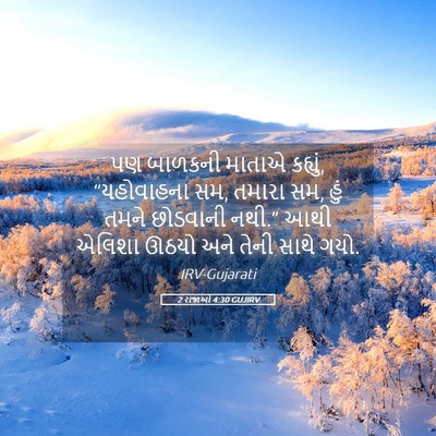 Picture 05 - 2 રાજાઓ 4:30 GUJIRV - પણ બાળકની માતાએ - Bible Verse Picture