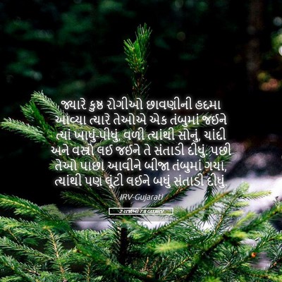 Picture 05 - 2 રાજાઓ 7:8 GUJIRV - જ્યારે કુષ્ઠ - Bible Verse Picture