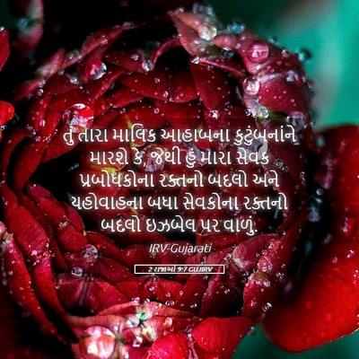 Picture 05 - 2 રાજાઓ 9:7 GUJIRV - તું તારા માલિક - Bible Verse Picture