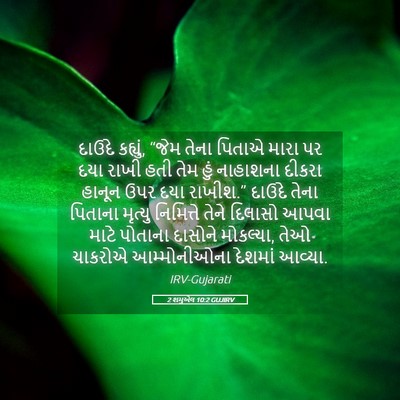 Picture 05 - 2 શમુએલ 10:2 GUJIRV - દાઉદે કહ્યું, “જેમ - Bible Verse Picture