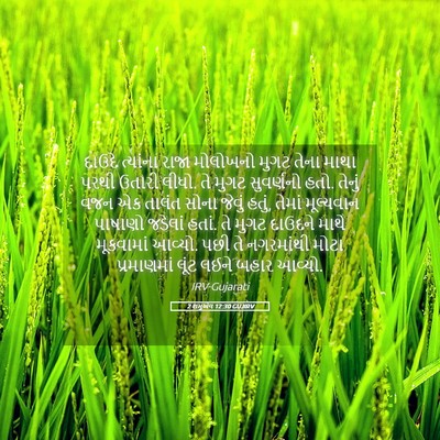 Picture 05 - 2 શમુએલ 12:30 GUJIRV - દાઉદે ત્યાંના - Bible Verse Picture