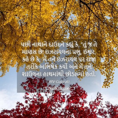 Picture 05 - 2 શમુએલ 12:7 GUJIRV - પછી નાથાને દાઉદને - Bible Verse Picture