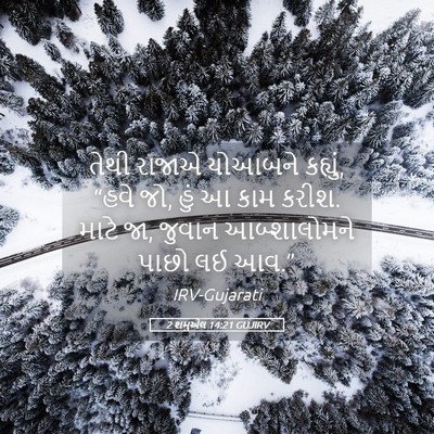 Picture 05 - 2 શમુએલ 14:21 GUJIRV - તેથી રાજાએ યોઆબને - Bible Verse Picture