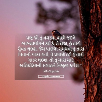 Picture 05 - 2 શમુએલ 15:34 GUJIRV - પણ જો તું નગરમાં - Bible Verse Picture