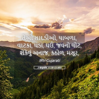Picture 05 - 2 શમુએલ 17:28 GUJIRV - તેઓ સાદડીઓ, ધાબળા, - Bible Verse Picture