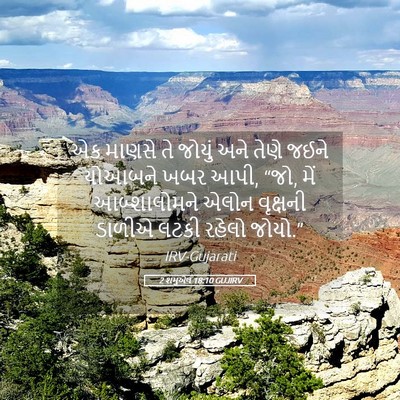 Picture 05 - 2 શમુએલ 18:10 GUJIRV - એક માણસે તે જોયું - Bible Verse Picture