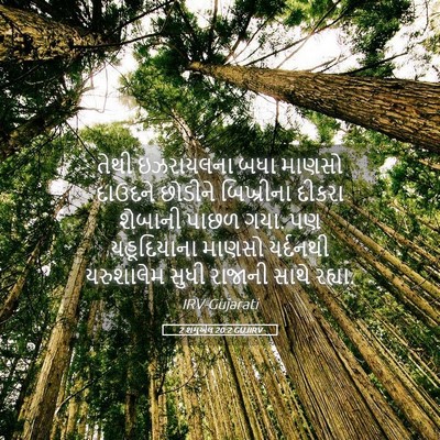 Picture 05 - 2 શમુએલ 20:2 GUJIRV - તેથી ઇઝરાયલના બધા - Bible Verse Picture