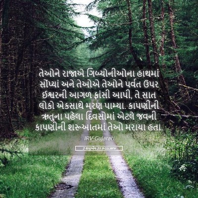 Picture 05 - 2 શમુએલ 21:9 GUJIRV - તેઓને રાજાએ - Bible Verse Picture