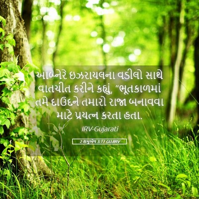 Picture 05 - 2 શમુએલ 3:17 GUJIRV - આબ્નેરે ઇઝરાયલના - Bible Verse Picture