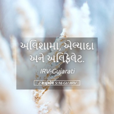 Picture 05 - 2 શમુએલ 5:16 GUJIRV - અલિશામા, એલ્યાદા - Bible Verse Picture