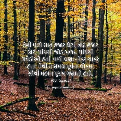 Picture 05 - અયૂબ 1:3 GUJIRV - તેની પાસે સાત હજાર - Bible Verse Picture