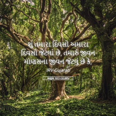 Picture 05 - અયૂબ 10:5 GUJIRV - શું તમારા દિવસો - Bible Verse Picture