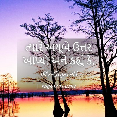 Picture 05 - અયૂબ 12:1 GUJIRV - ત્યારે અયૂબે - Bible Verse Picture