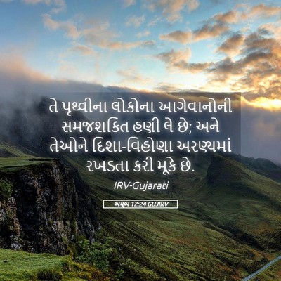 Picture 05 - અયૂબ 12:24 GUJIRV - તે પૃથ્વીના - Bible Verse Picture